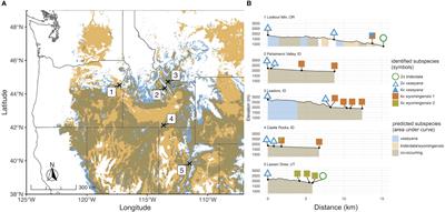 Population structure and hybridization under contemporary and future climates in a heteroploid foundational shrub species (Artemisia tridentata)